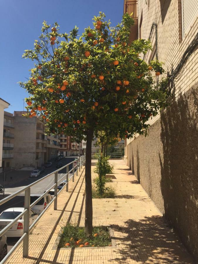 Apartment Sunny Harbour Santa Pola Luaran gambar